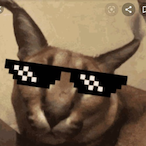 qsxcwz's Avatar'