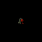 Vrxken's Avatar'