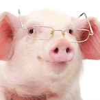 Mini codza's Avatar'