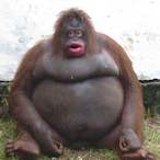 DHiggs69's Avatar'