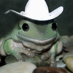 Sapo_Vaqueiro's Avatar'
