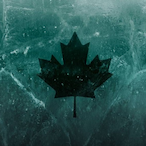 Cte3pwn's Avatar'