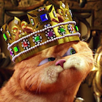i.z.'s Avatar'