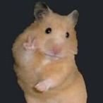 NalGangdo_'s Avatar'