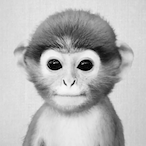 RetiredBoomer's Avatar'