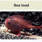 XURI.smurf's Avatar'