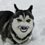 XxItachipgmxX's Avatar'