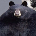 Sackboy0047's Avatar'