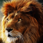Xdr4gon0ideX's Avatar'