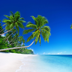 Prophet-Ghost's Avatar