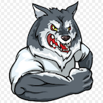 GreyHairWolf's Avatar