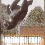 FlippingMonkey's Avatar'