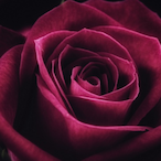 iThailander's Avatar'