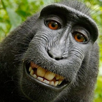InderInDaMONKE's Avatar'