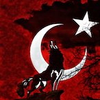 Tigglyjits1152's Avatar'