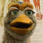 GEM.arie's Avatar'
