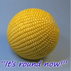 Corn0nThe0rb's Avatar'