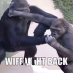 Stargazing420's Avatar'