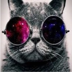 No_life-'s Avatar'