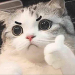 lScripterl's Avatar'