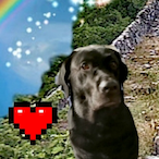 Dra_car_ys_18's Avatar'