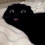 Caramel02514's Avatar'