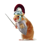MedievalHamster's Avatar'