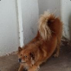 JackiePuff's Avatar'