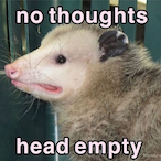 Vampossum's Avatar'