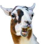 SumgSingWong's Avatar