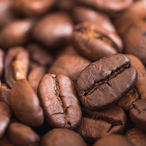 Coffee_Bean__'s Avatar'