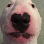 Howard.DNCD's Avatar'