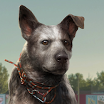 maximus_155's Avatar'
