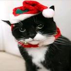 Mi_Addiction's Avatar'