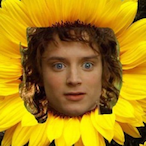 JJ_Volt0917's Avatar'