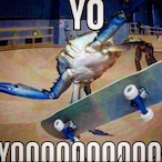 zeegi's Avatar'