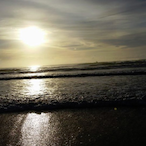 Aus_Flavours's Avatar'