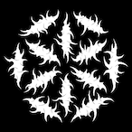 Snowballs.'s Avatar'