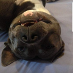 Gwendo75014's Avatar'