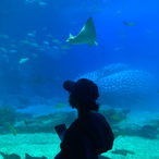 URVeryBadBad's Avatar'