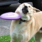 Mis.For.Tune.'s Avatar'