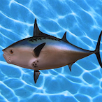 TacticalTuna_'s Avatar'