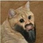 OsamaCat's Avatar'