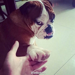 BigPaul2012's Avatar'