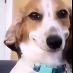 MaybeInMumbai's Avatar'