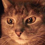 SpicedSchnitzel's Avatar'