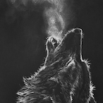 Agha-Morteza's Avatar'
