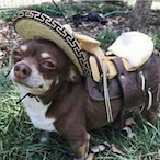JjButtKiller's Avatar'