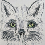 Foxden.'s Avatar'