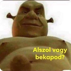 szabocssboss's Avatar'